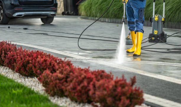 Best House Exterior Washing  in San Leon, TX
